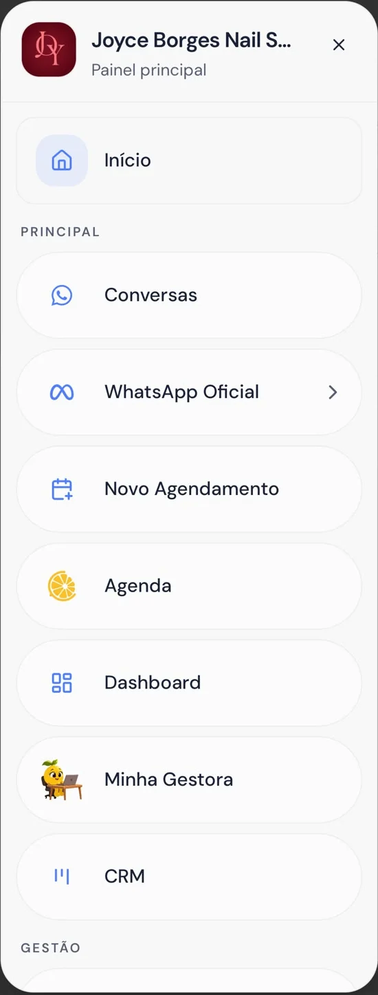 Menu do Hellas Pro com Conversas, WhatsApp Oficial, Novo Agendamento, Agenda, Dashboard, Minha Gestora e CRM